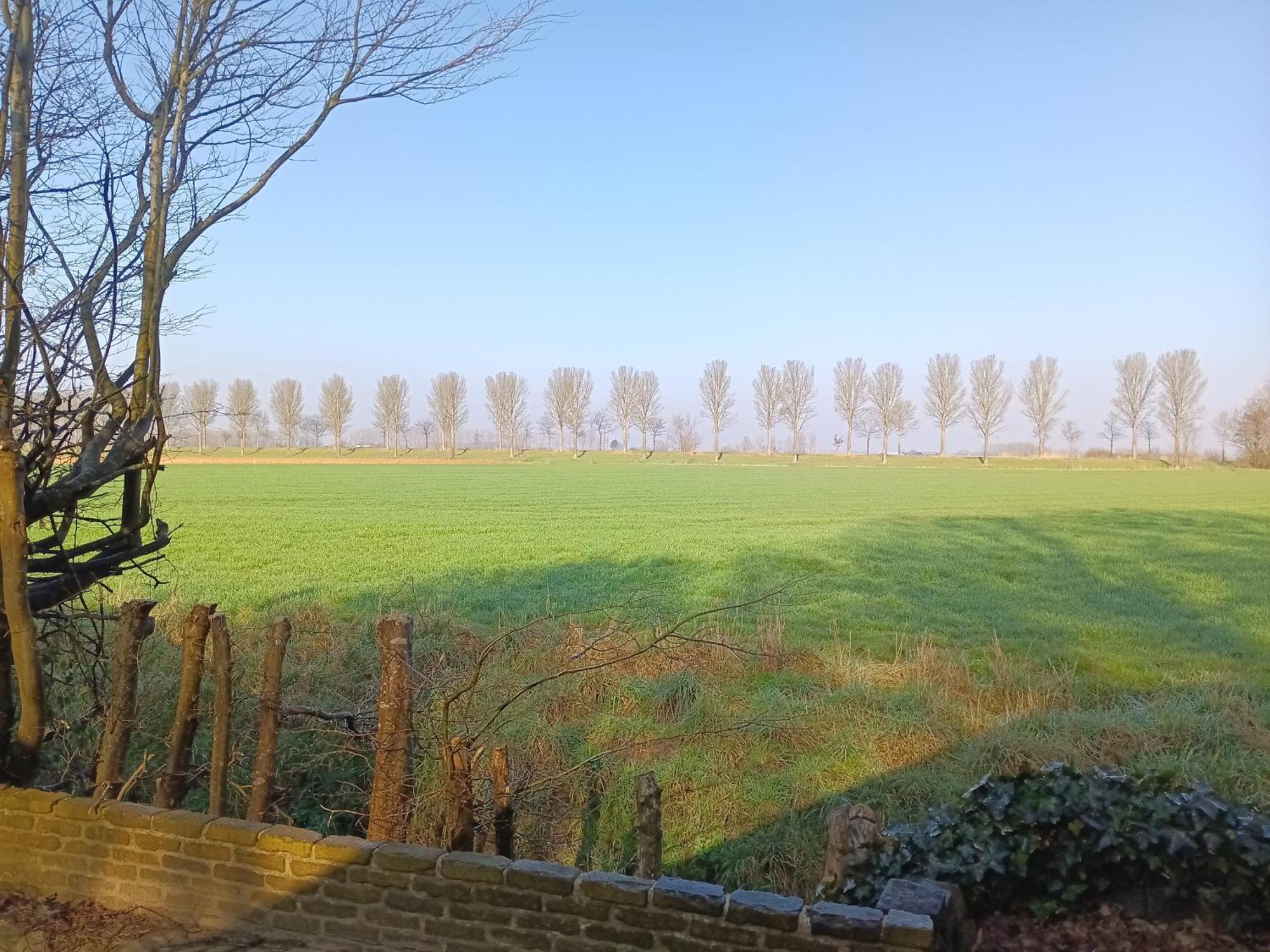 De Rusthut Wolphaartsdijk